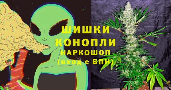 дживик Вязники