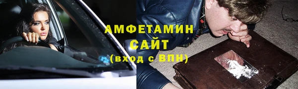 амф Вяземский