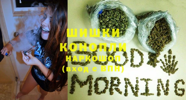 амф Вяземский